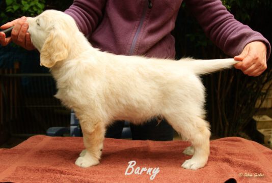 Barny1
