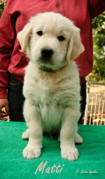 Matti2